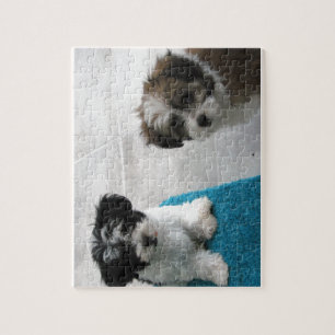 Havanese Rescue Puppies Black White Grey Jigsaw Puzzle
