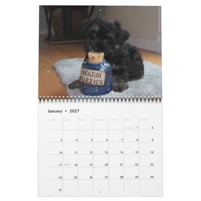 Havanese Rescue Puppies Calendar 2012 (Jan 2027)