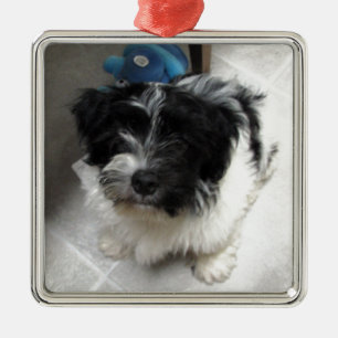 Havanese Rescue Puppy black and white Metal Tree Decoration