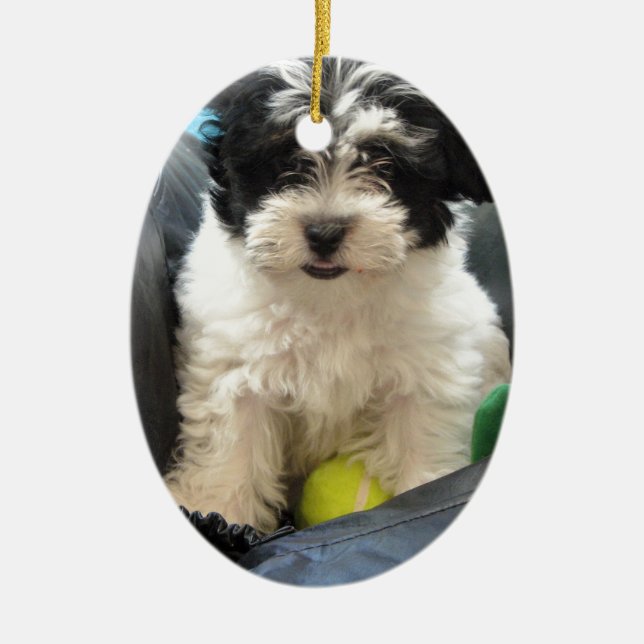 Havanese Rescue Puppy Black White Ceramic Ornament (Front)