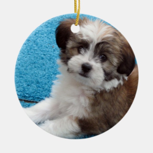 Havanese Rescue Puppy Ceramic Tree Decoration (Front)