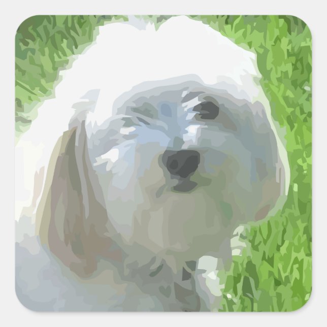 Havanese Square Sticker (Front)