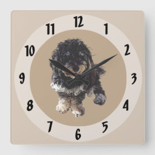 Havanese Square Wall Clock
