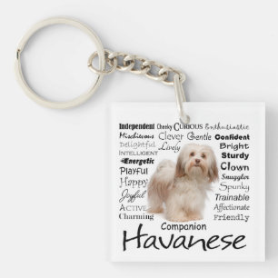 Havanese Traits Keychain