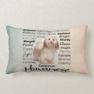 Havanese Traits Pillow