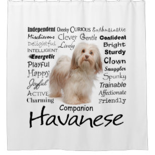 Havanese Traits Shower Curtain