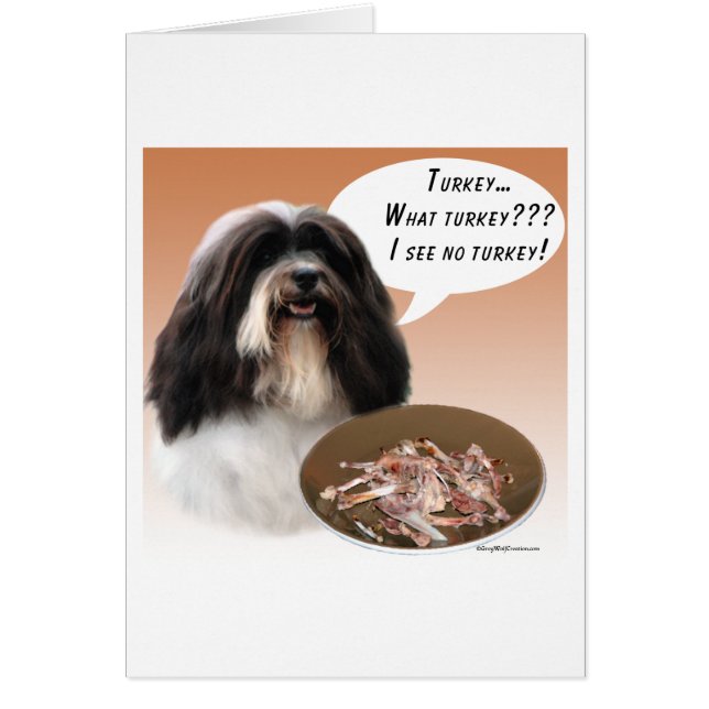 Havanese Turkey (Front)