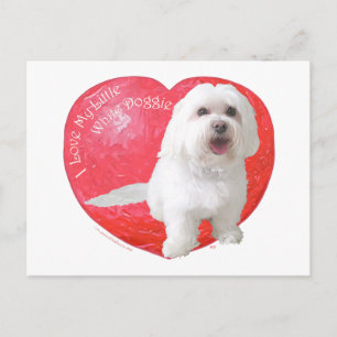 Havanese Valentine's Day Holiday Postcard