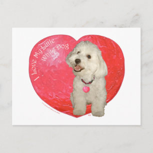Havanese Valentine's Day Holiday Postcard