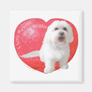 Havanese Valentine's Day Magnet
