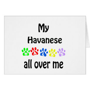 Havanese Walks Design
