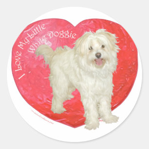 Havanese / Westie Mix Valentine's Day Classic Round Sticker