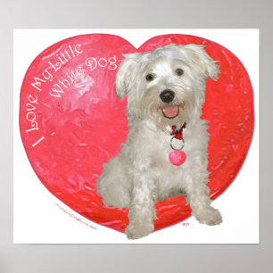 Havanese / Westie Mix Valentine's Day Poster