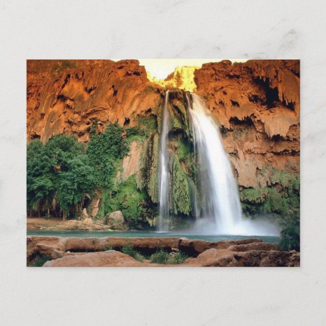 Havasu Falls, Arizone Postcard (Front)