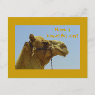 Have a beautiful day - camel postcard