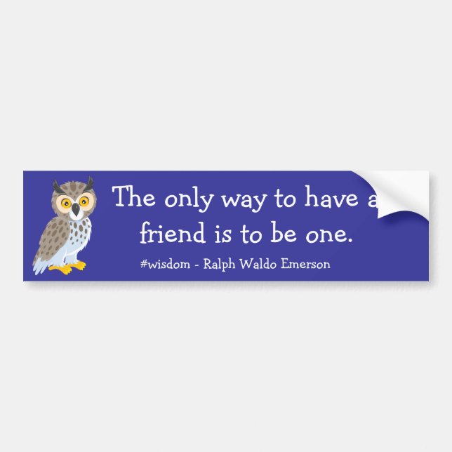 Have a Friend Bumper Sticker (Front)