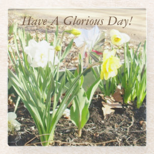 Have A Glorious Day Glass Coaster