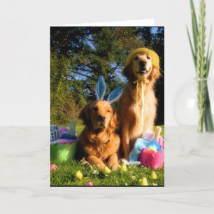 Have a Golden Easter Holiday Card