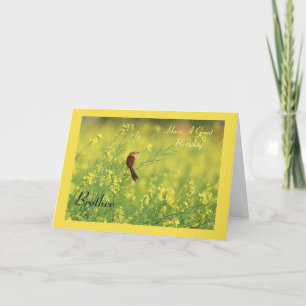 Have a Great Birthday Card