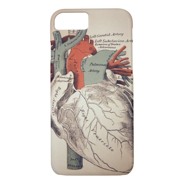 Have a Heart iPhone 7 case (Back)