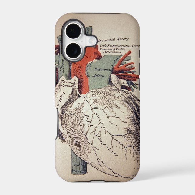 Have a Heart iphone Case (Back)