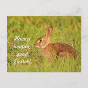 Have a hoppin’ good Easter! Postcard