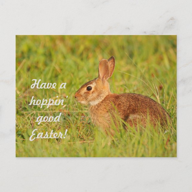 Have a hoppin’ good Easter! Postcard (Front)