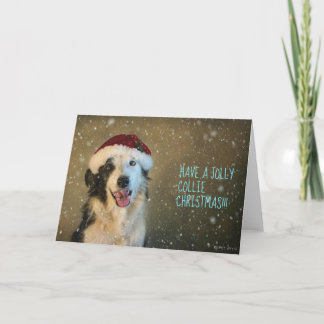 Have a jolly collie Cristmas Holiday Card