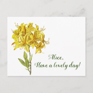 Have a lovely day! postcard
