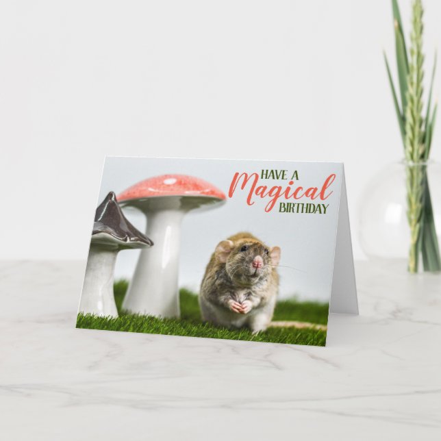 Have a Magical Birthday Card (Front)