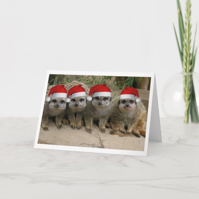 Have a Meerkat Christmas! Holiday Card (Front)