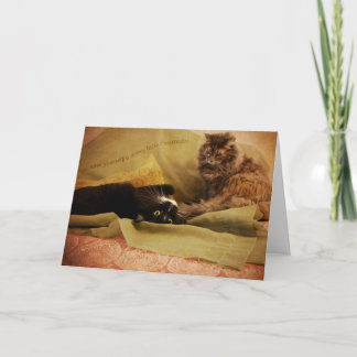 Have a merry little Christmas Holiday Card