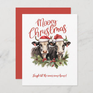 Have a Mooey Christmas Cows Christmas  Invitation