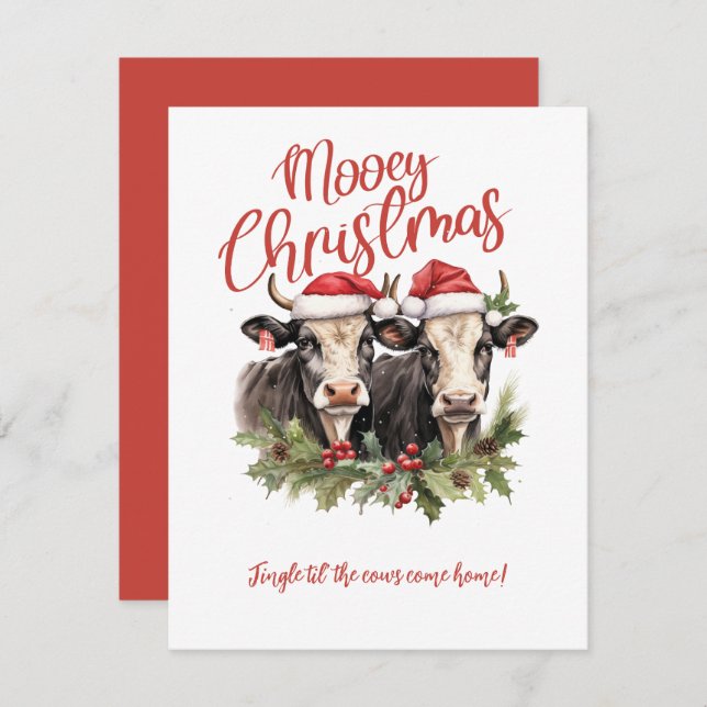 Have a Mooey Christmas Cows Christmas  Invitation (Front/Back)