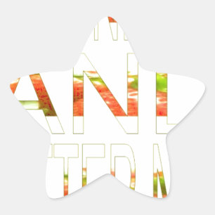 Have a Nice Day and a Better Night Art Print Star Sticker