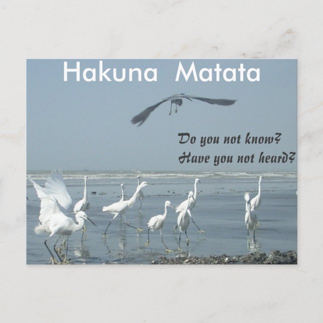 Have a Nice Day Customise Product Postcard (Front)