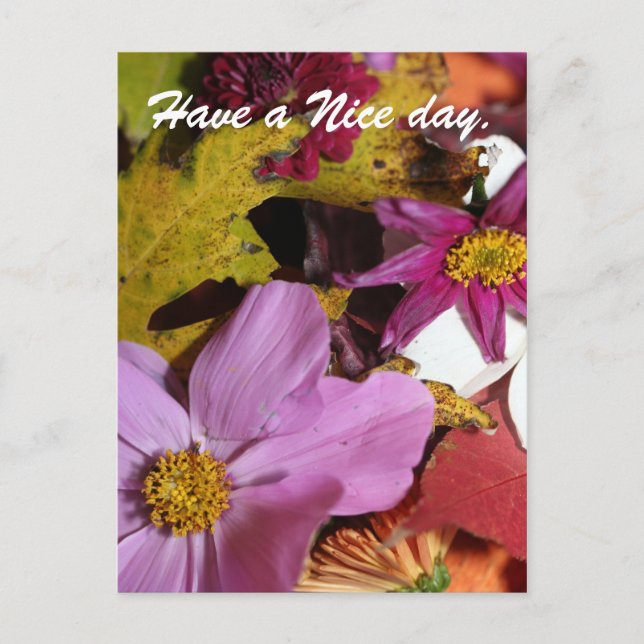 Have a Nice day. Postcard (Front)