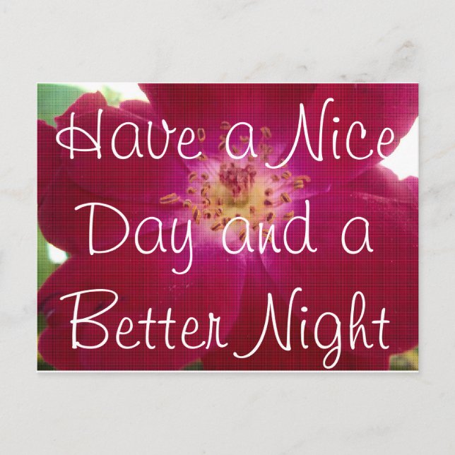 Have a Nice Day Postcard (Front)