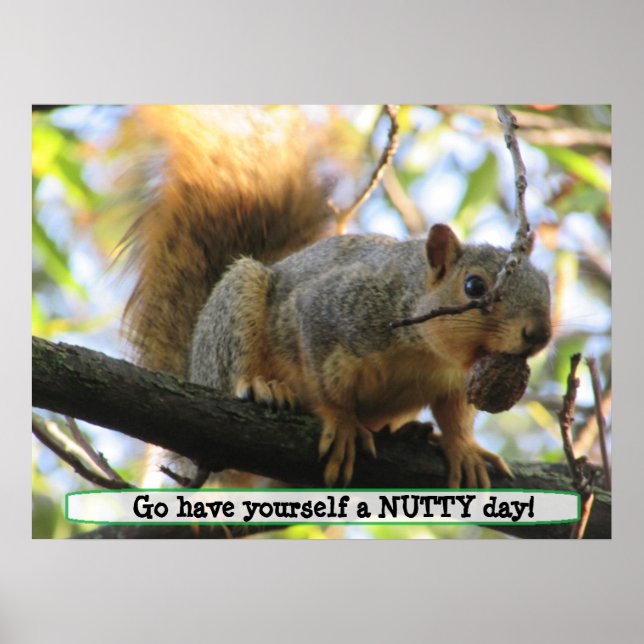 Have a Nutty Day, Cute Squirrel Humour Poster (Front)