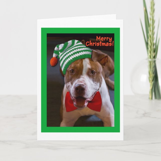 Have a Pit Bull Christmas Holiday Card (Front)
