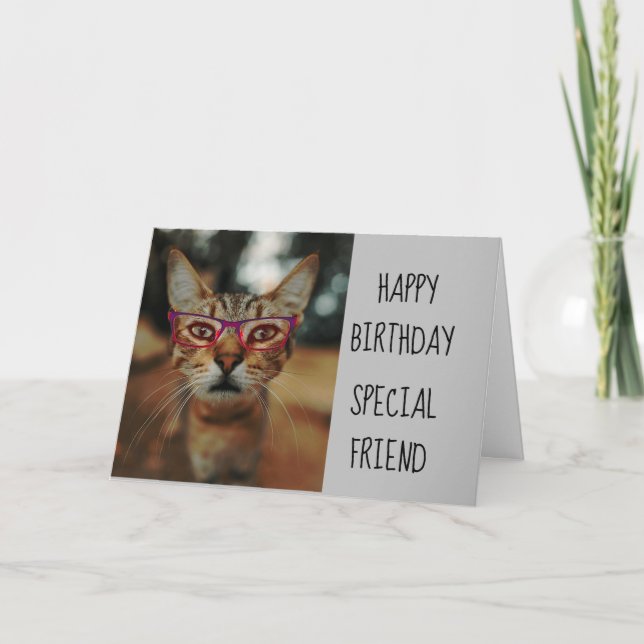Have a Purr fect Cat Kitten Birthday Fun Card (Front)