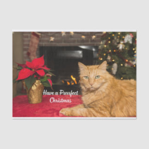Have a Purrfect Christmas Cute Orange Cat Tissue Paper