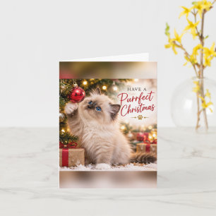 Have a Purrfect Christmas Ragdoll Kitten Greeting Card