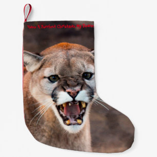 Have a Purrrfect Christmas Small Christmas Stocking