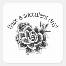 Have a succulent day!