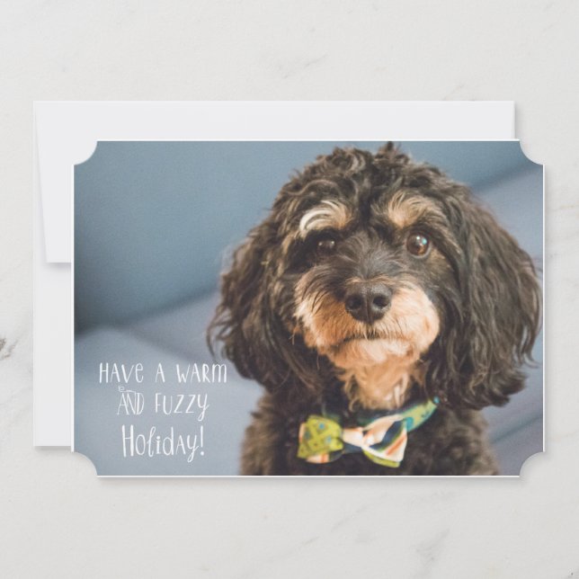 Have a warm and fuzzy Holiday Card (Front)