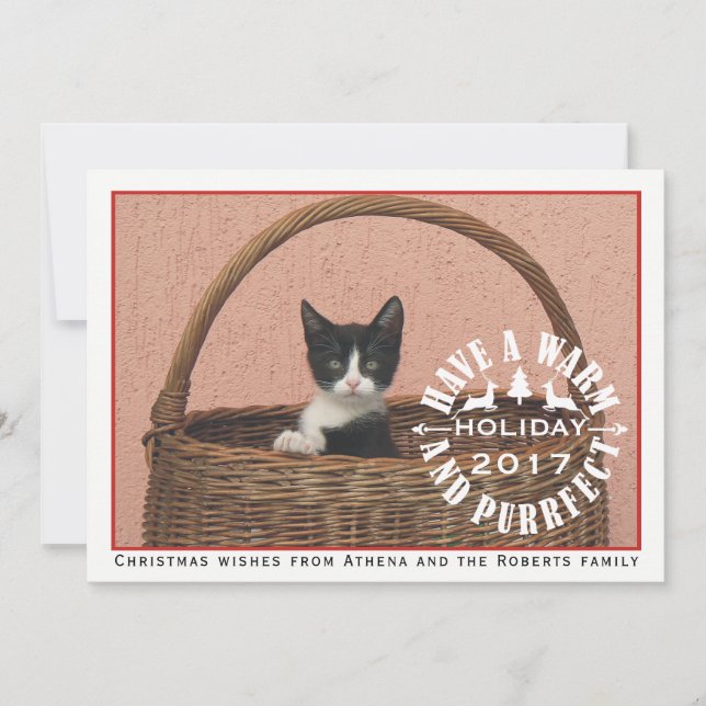 Have a warm and purrfect holiday red pet Christmas Card (Front)