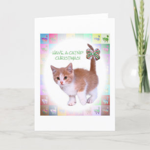 Have Catnip Christmas! Holiday Card