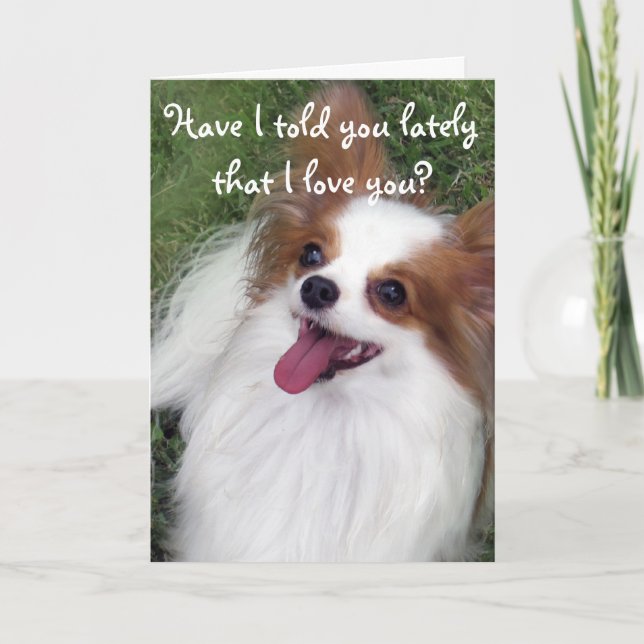 Have I told you lately that I love you papillon ca Card (Front)