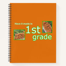 Have it Made in 1st Grade